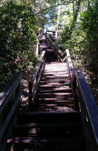 It seemed like a good idea at the time