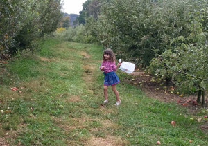 Ready to fill the bag