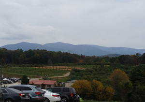 The view from the hill