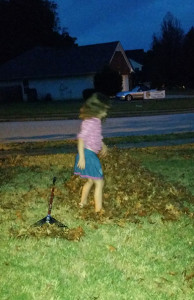Making herself a leaf pile